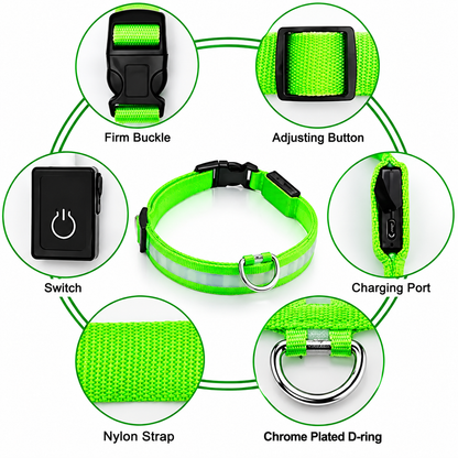 GlowLoop™