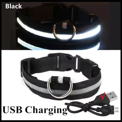 GlowLoop™